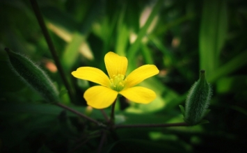 Một vài dòng…